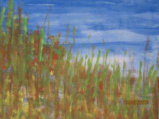 2008 50x40